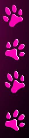 PAW_PRINT.jpg